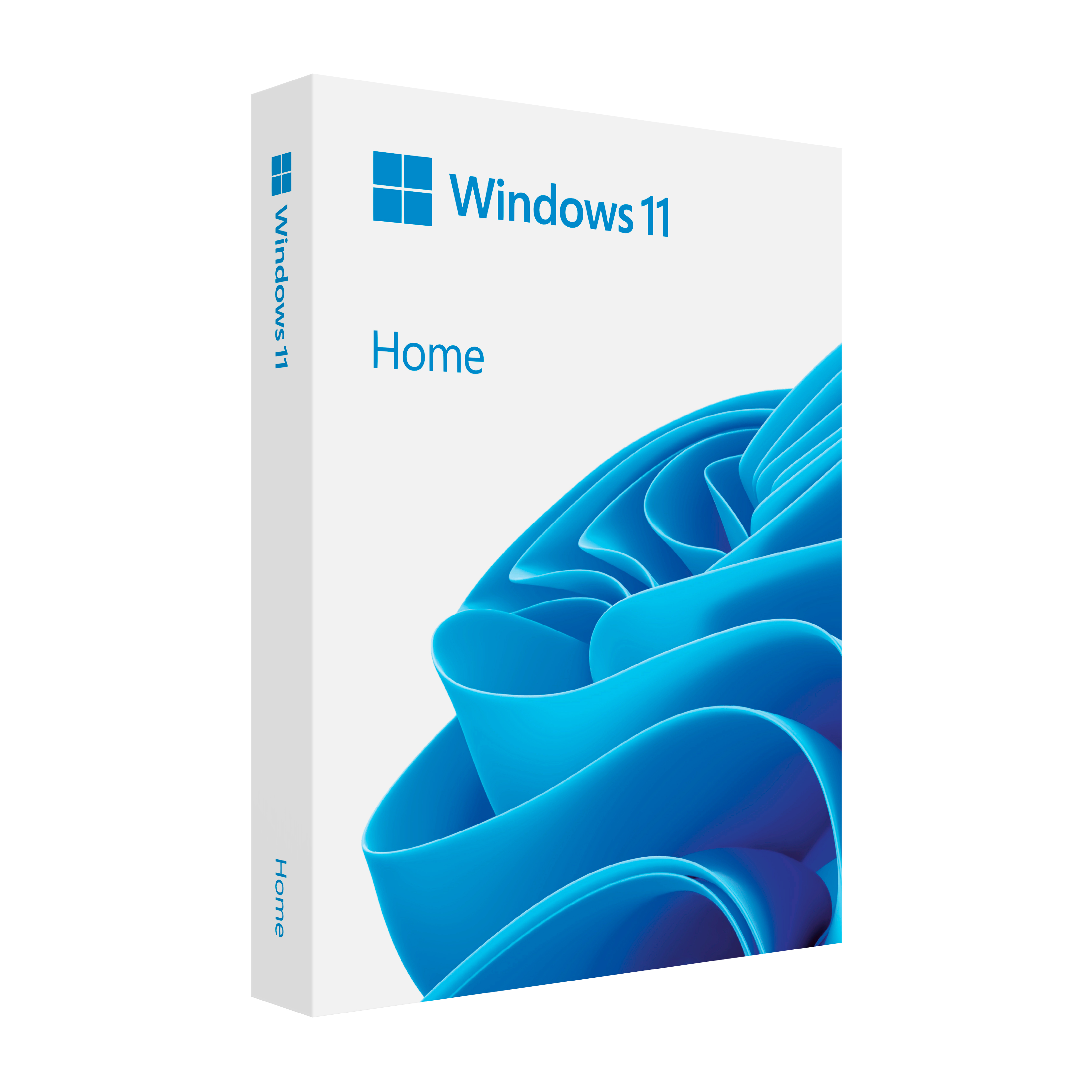 Windows 11 HomeG1